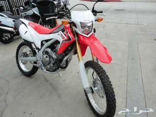 دباب صحراوي CRF250 هوندا 2014