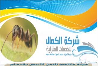 شركة مكافحة النمل الابيض وابادته ورش الدفان