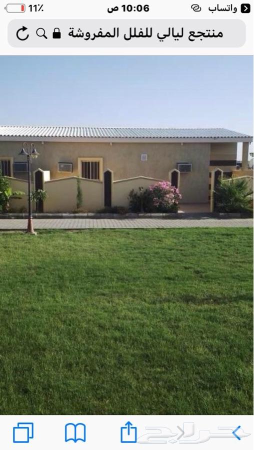 فلل مفروشة للايجار اليومي والشهري