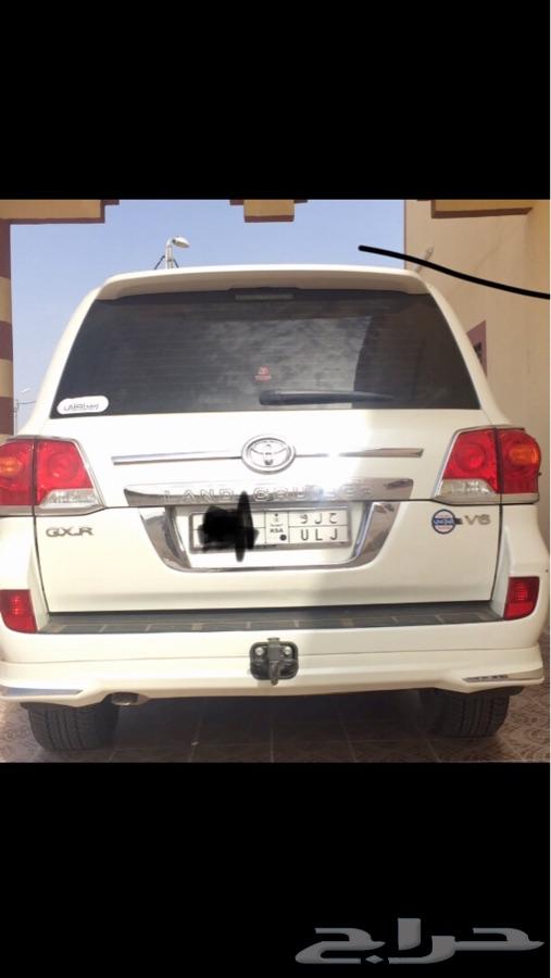 الرين