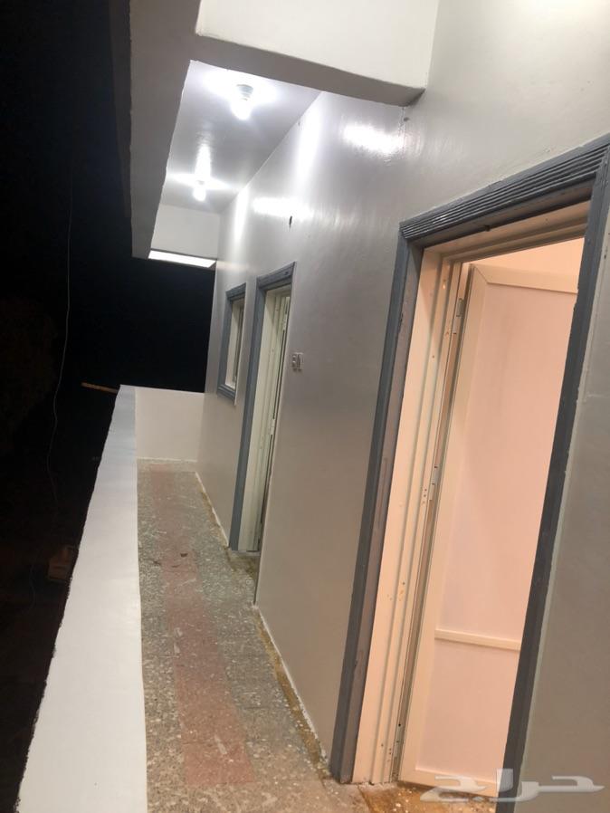 شقة للإيجار الهدا مجددة بالكامل
