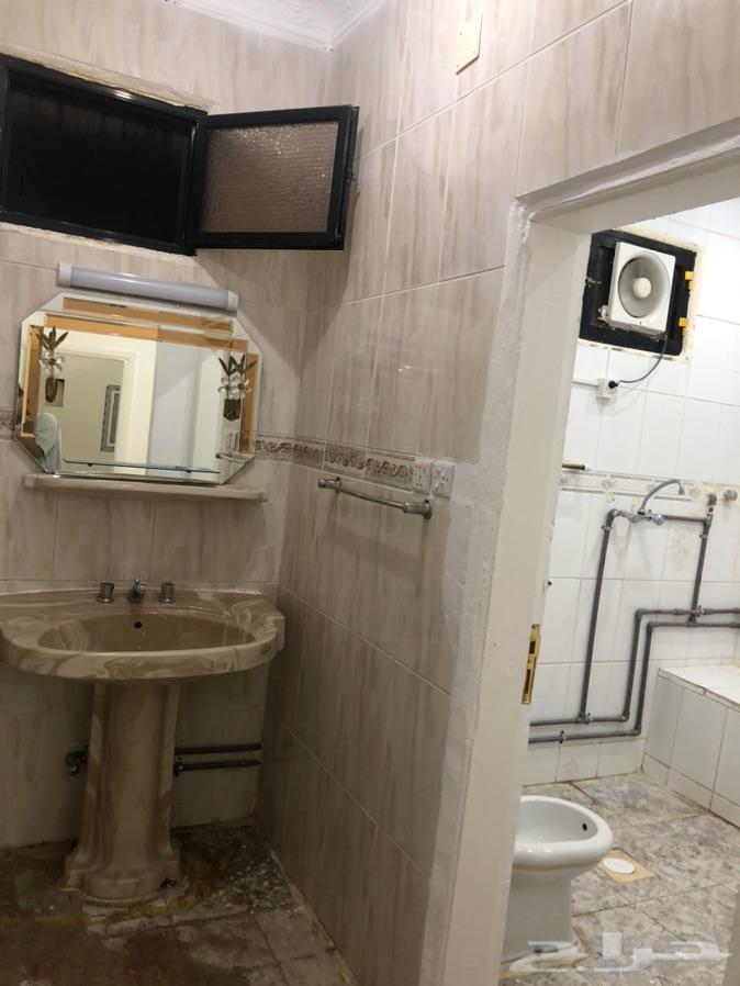شقة للإيجار الهدا مجددة بالكامل