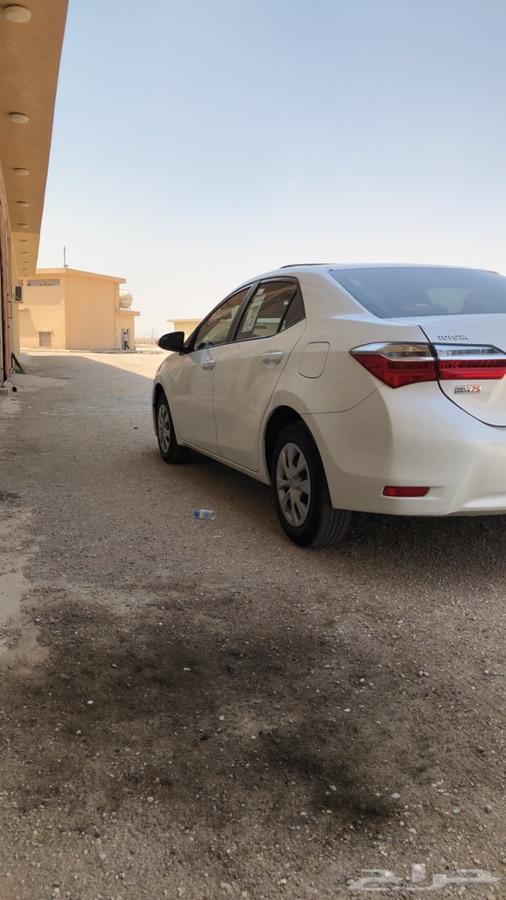 كورلا 2019 لتنازل