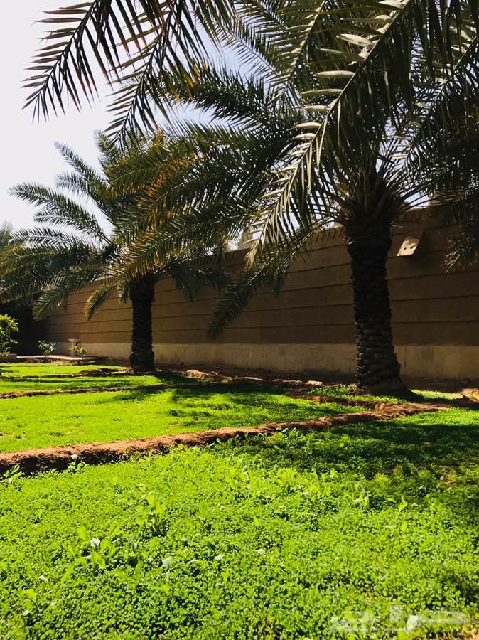 استراحة ومزرعة الاقمار للإيجار 5000 متر