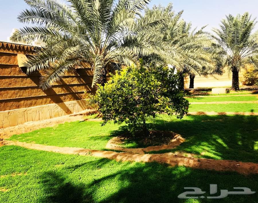 استراحة ومزرعة الاقمار للإيجار 5000 متر