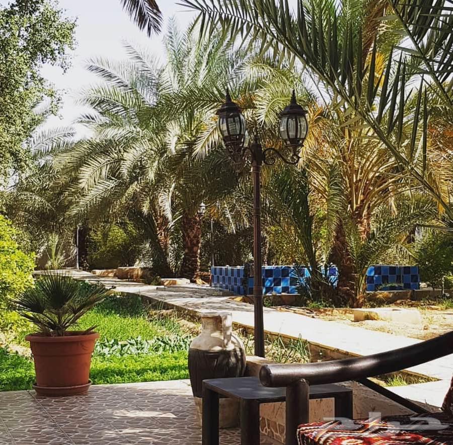 استراحة ومزرعة الاقمار للإيجار 5000 متر