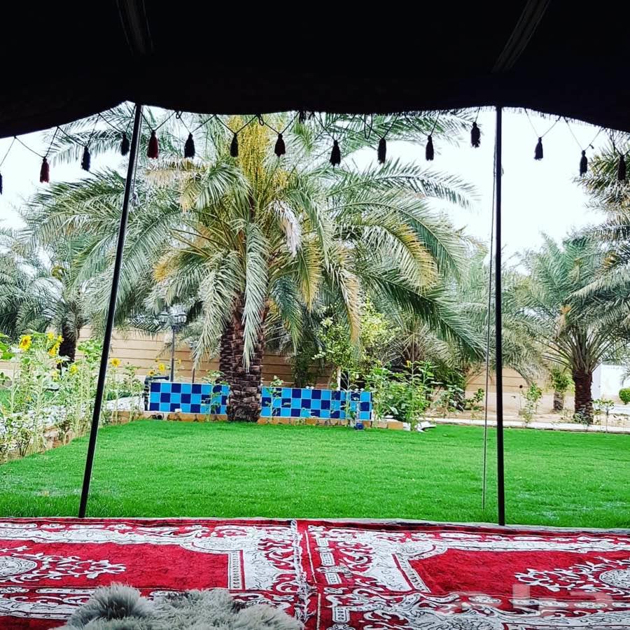 استراحة ومزرعة الاقمار للإيجار 5000 متر