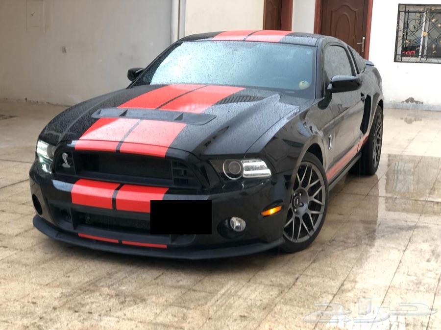 موستنج شلبي GT 500 2011 شد بلد