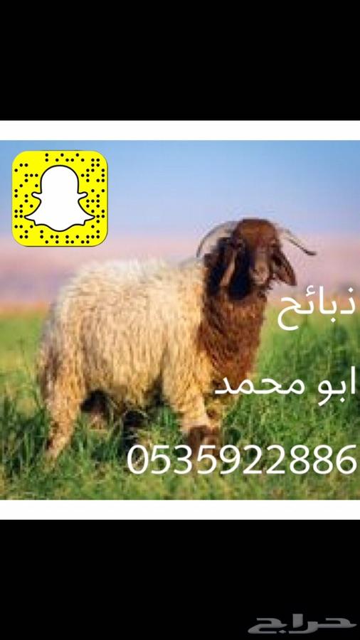 ذبايح ابو محمد هرفي جبر طلي رخل