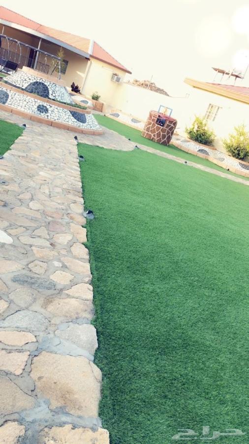 إستراحة همسات للإيجار بحي الرميده الطائف
