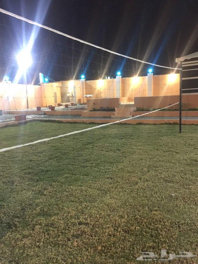 استراحة الفارس