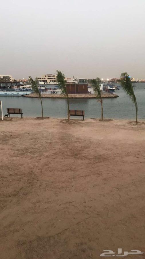 شاليه ارض السعاده 1 للايجار اليومي