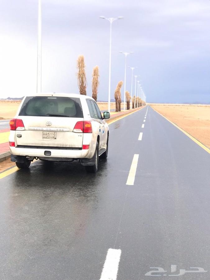 بيشة