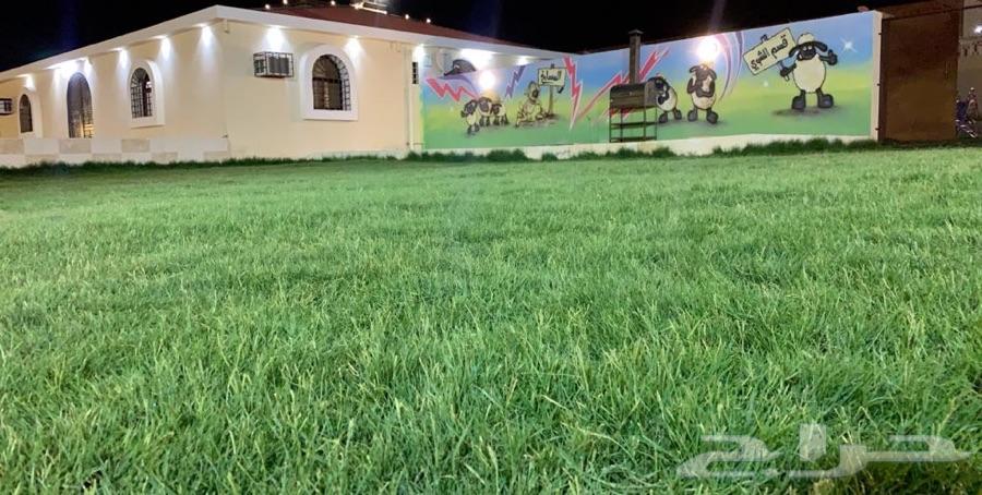 إستراحة النجوم المضيئة بالطايف