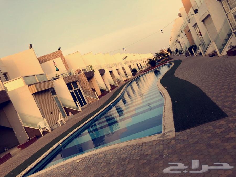 شاليه ارض السعاده 1 للايجار اليومي