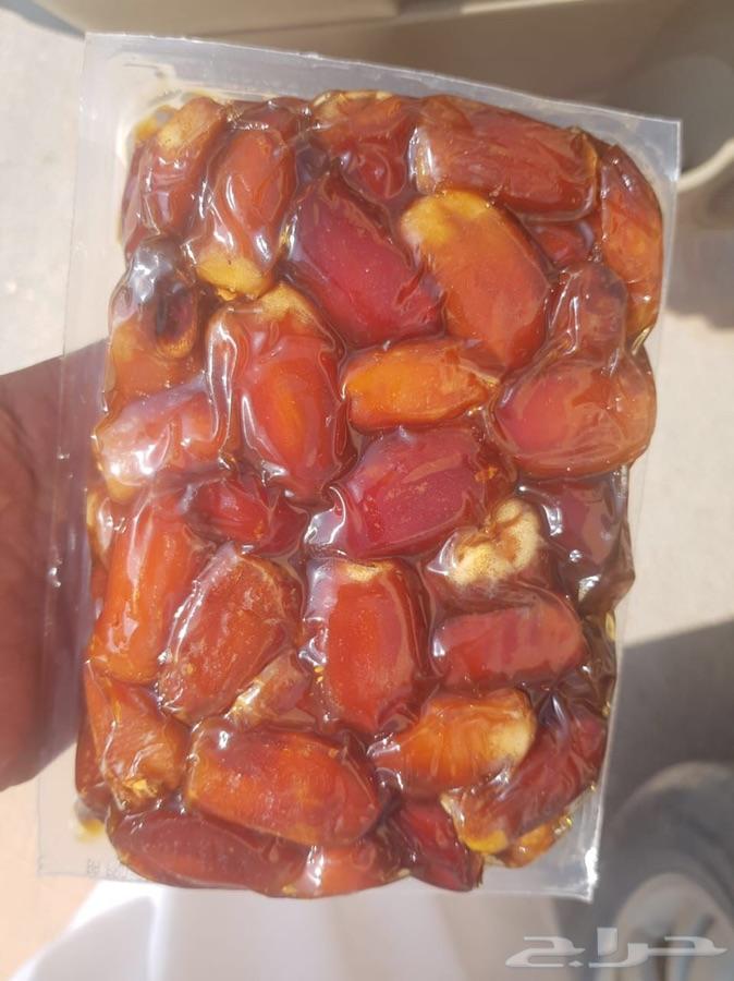 صقعي فاخر جمله فقط