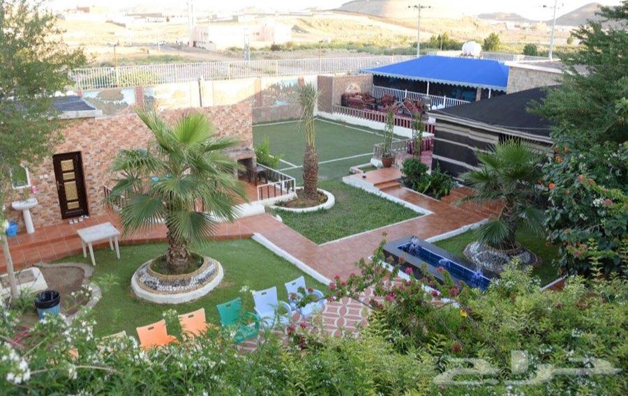 استراحة العائلة