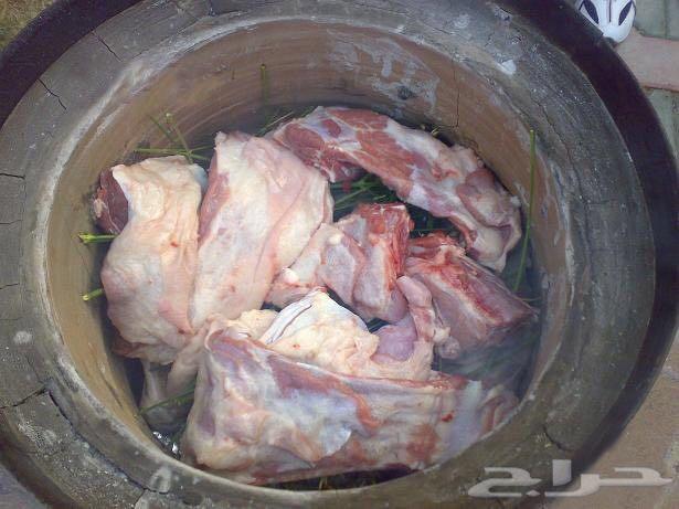 استراحة الفارس