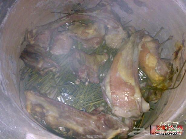 استراحة الفارس