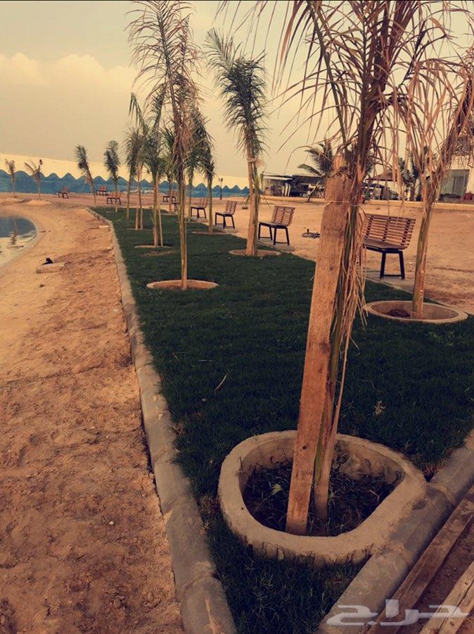 شاليه ارض السعاده1 للايجار اليومي
