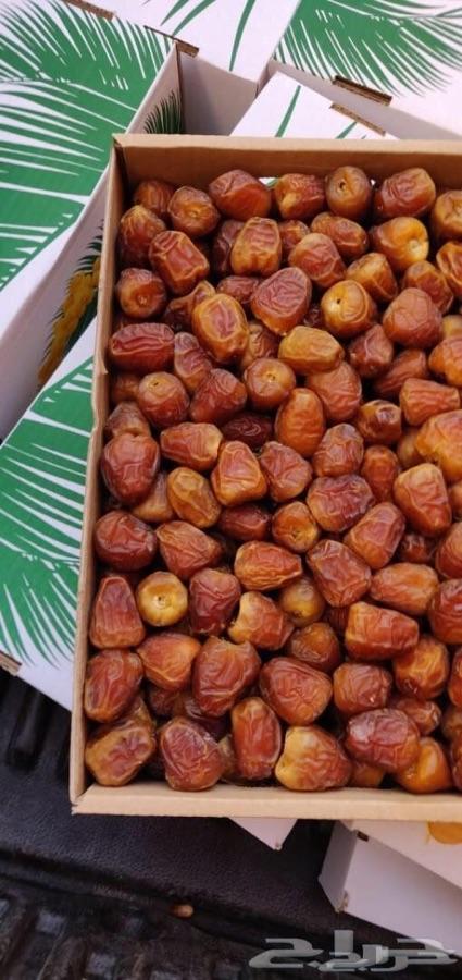 تمر جالكسي درجه اولى قطفه السنه ذي