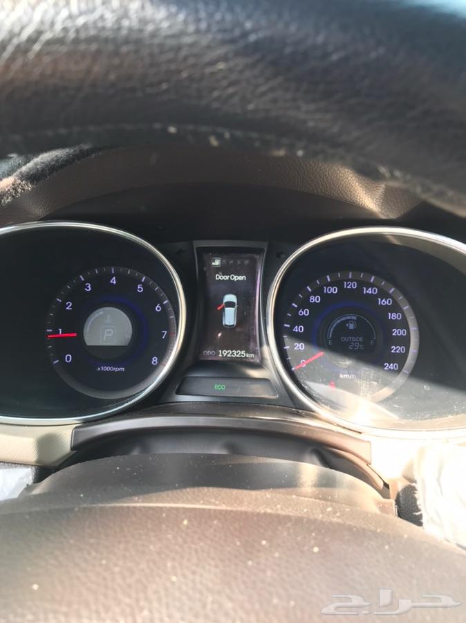 الاحساء