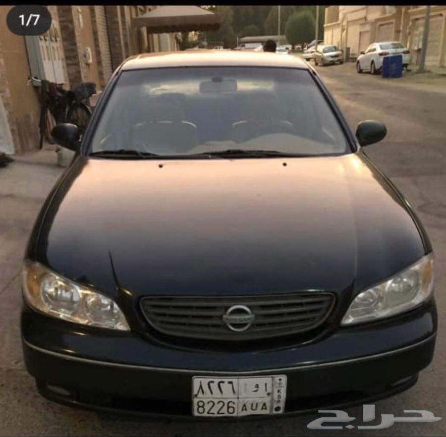 الشرقية - صفوى