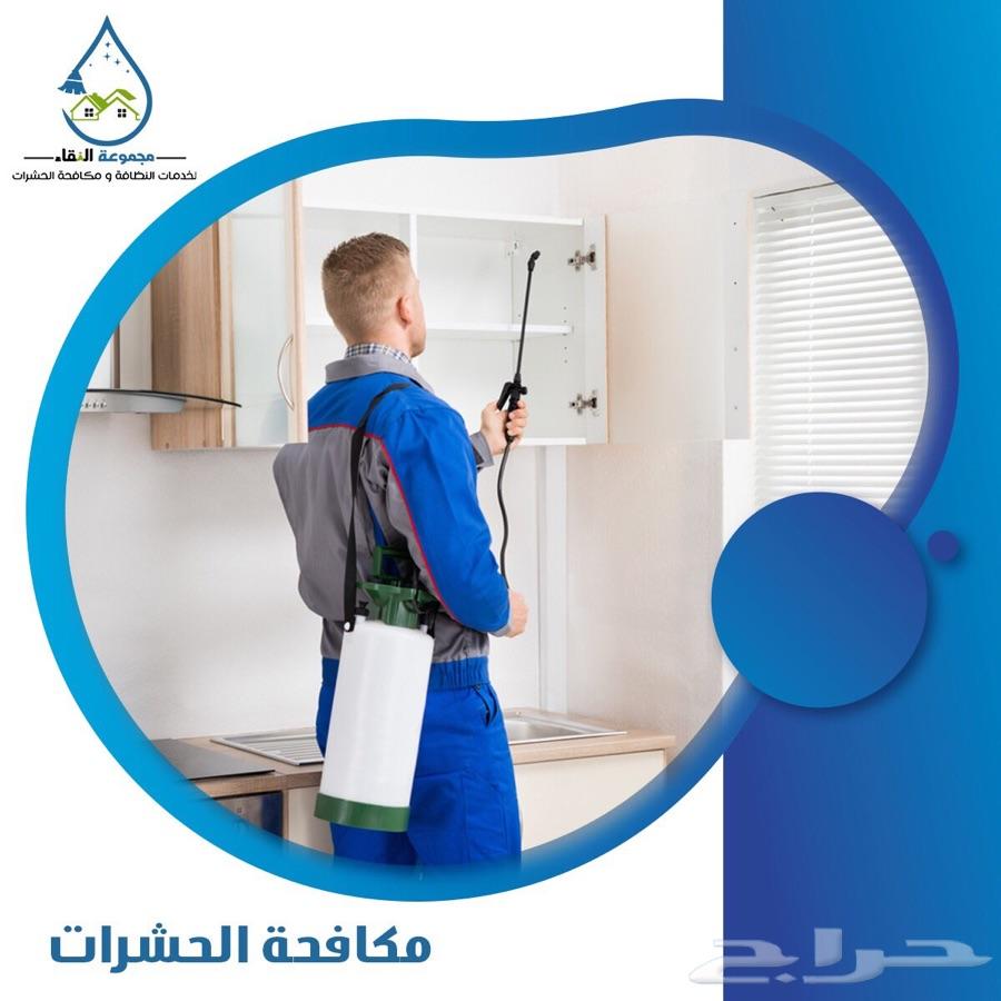 شركة مكافحة العتة شركة رش مبيد السعر 100