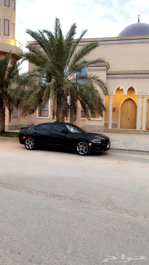 تشاجر فل 15 رالي اعلى فئة