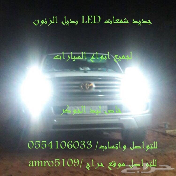بديل الزينون ليد