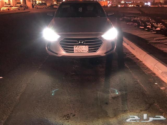 جديد شمعات لليد بديل الزينون