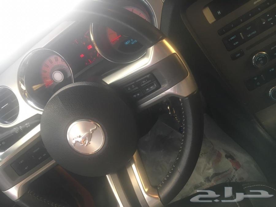 الشرقية