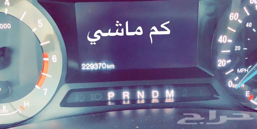 الرياض
