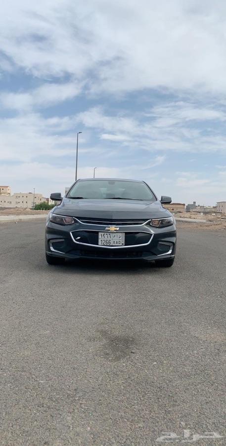المدينة المنورة