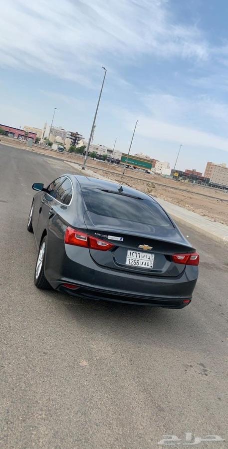 المدينة المنورة