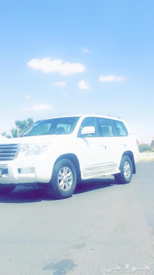 جكسار ستيني 2011