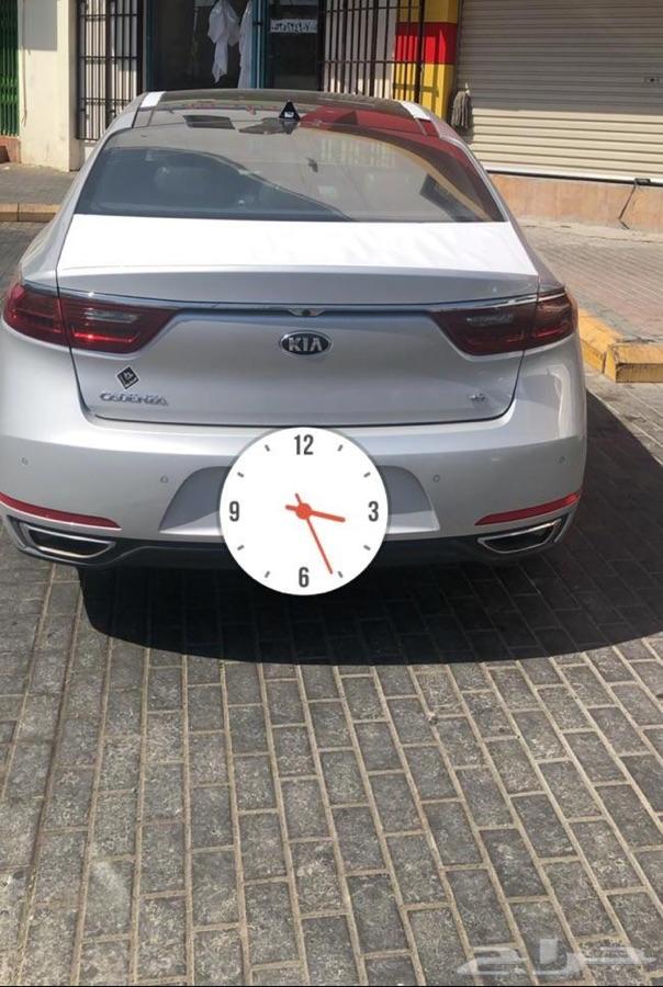 كادينزا للبيع