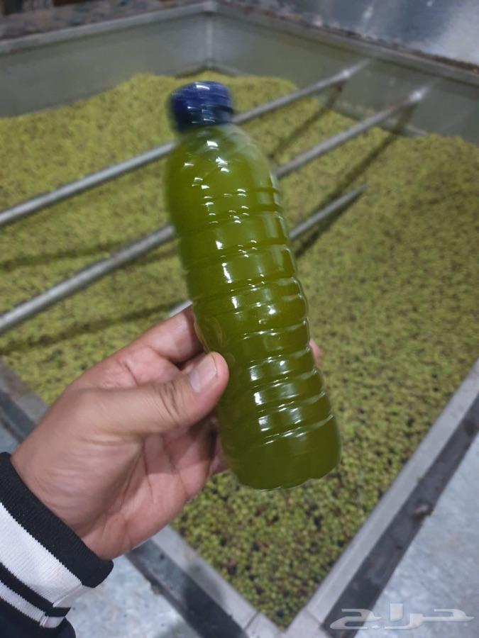 القصيم