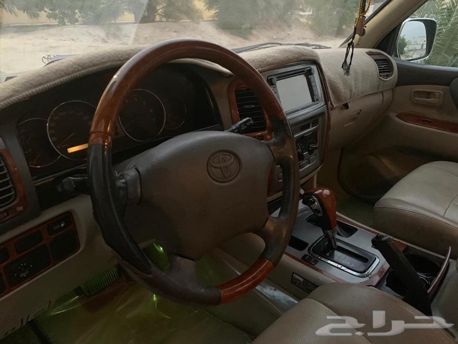 الاحساء