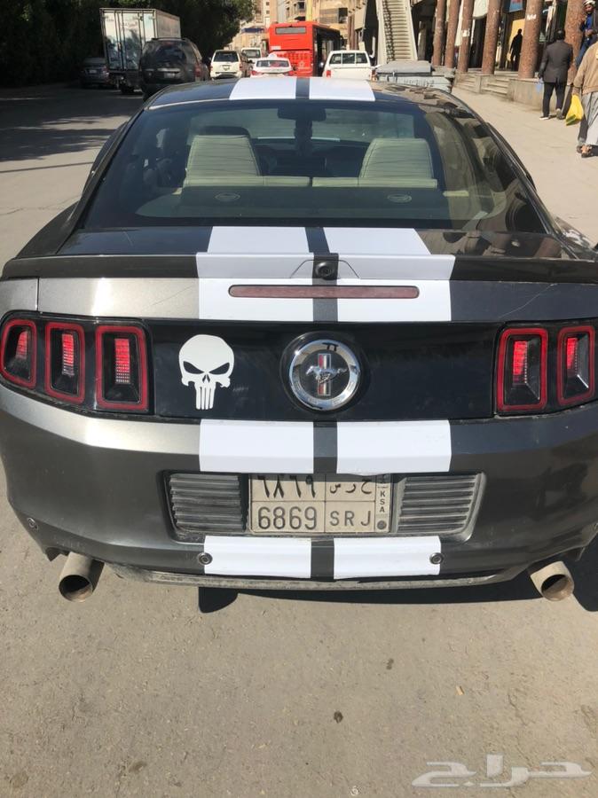 موستنغ نظيف 2013