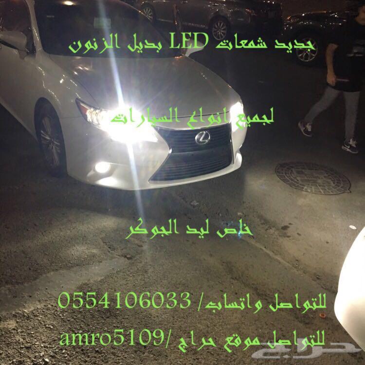 بديل الزينون ليد