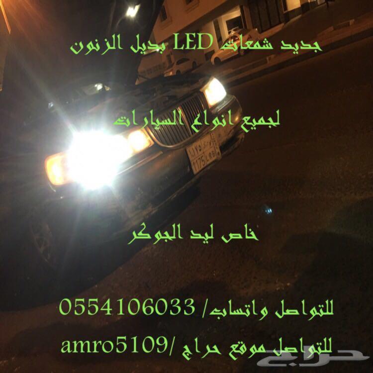 بديل الزينون ليد