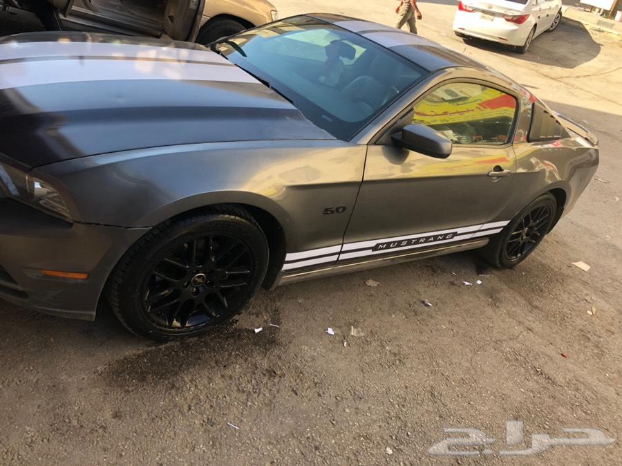 موستنغ نظيف 2013