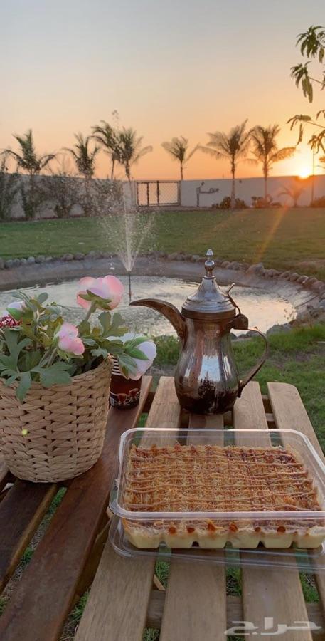 المخيم الريفي