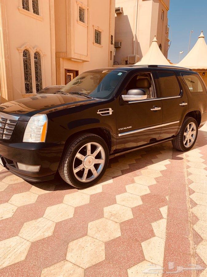 كاديلاك سكاليد 2014