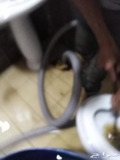 افضل شركه تسليك مجارى بالرياض مكافحه حشرات