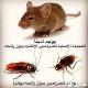افضل شركه تسليك مجارى بالرياض مكافحه حشرات