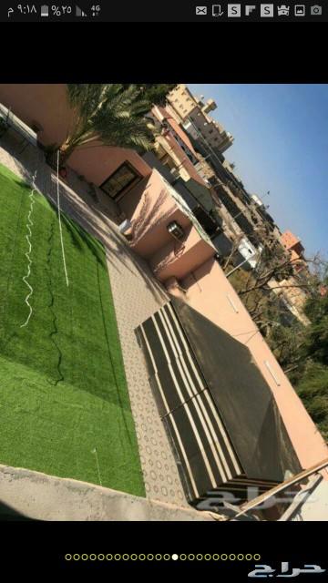 استراحة شاطئ الراحة
