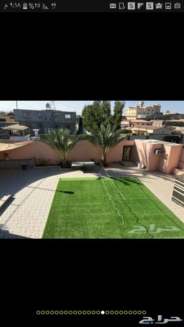 استراحة شاطئ الراحة