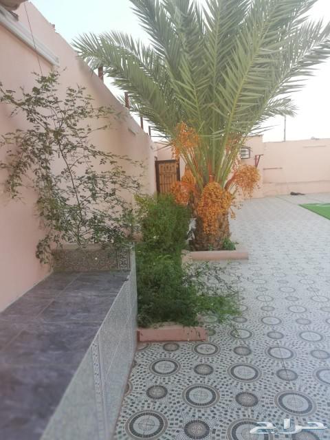 استراحة شاطئ الراحة